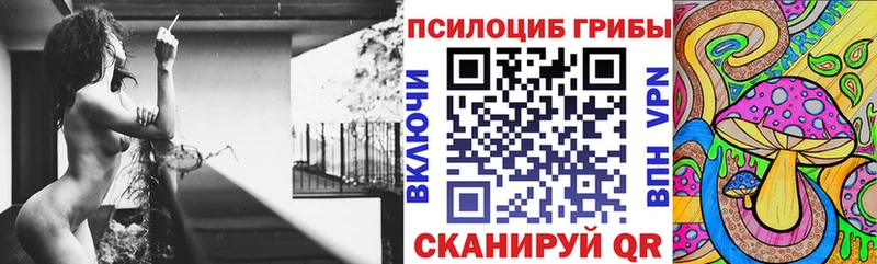 Галлюциногенные грибы Psilocybe  Купить где  Губаха 